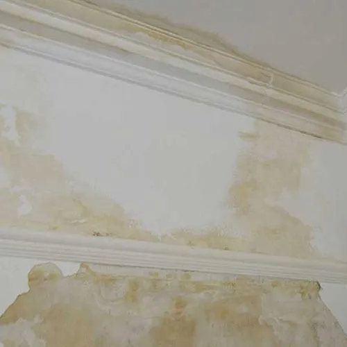 Damp chimney breast example 1