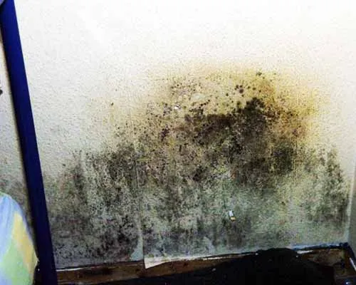 Example of chimney damp and soot salt staining